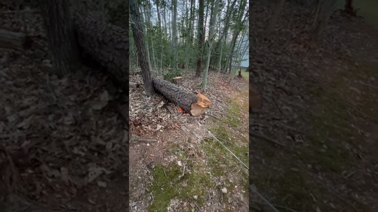 Axis 500 UTV winch test. 3500lb rated work limit. $8000 side by side from Lowe’s.