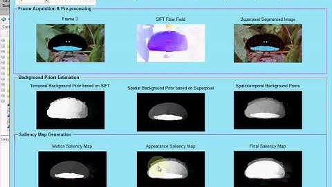 Salient object detection with spatio-temporal background priors for video | Matlab IEEE Project