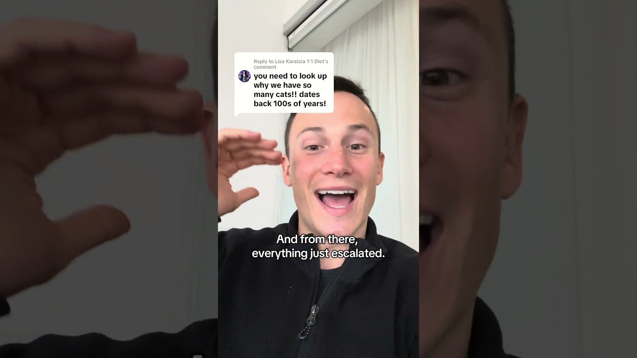 На Кипре кошек больше, чем людей.