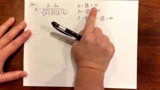 2 Proportion Z Test