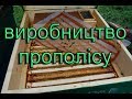 Промислова технологія збору прополісу