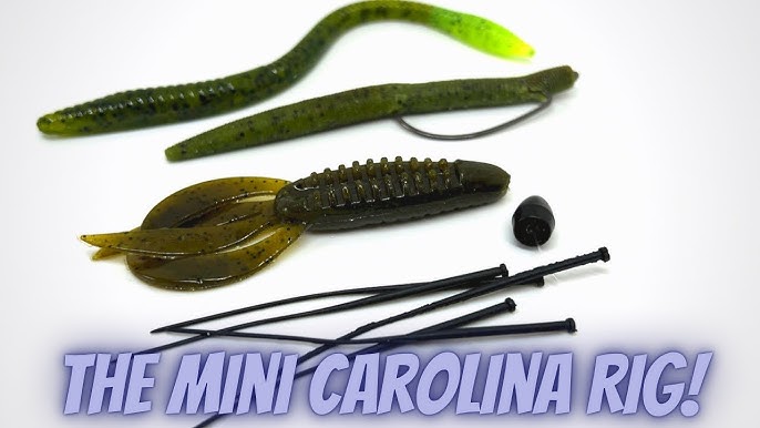 Easy Carolina Rig Tweak for More Sound and Bass - Wired2Fish