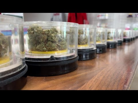 Vidéo: Meilleures Villes Des États-Unis Pour Des Vacances Cannabis Et Marijuana