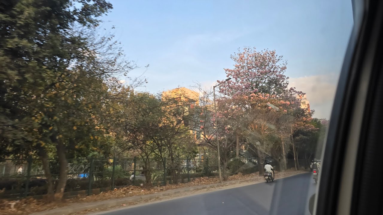 Cherry blossom ke mausam main hue meri bhen injured