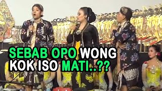 Percil Cs   Proborini - Iki pertanyaan garai ngakak pol.. sebab nyapo wong kok iso mati cil..??