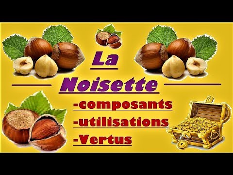 Vidéo: ❶ Huile De Noisette (noisette): Composition, Propriétés