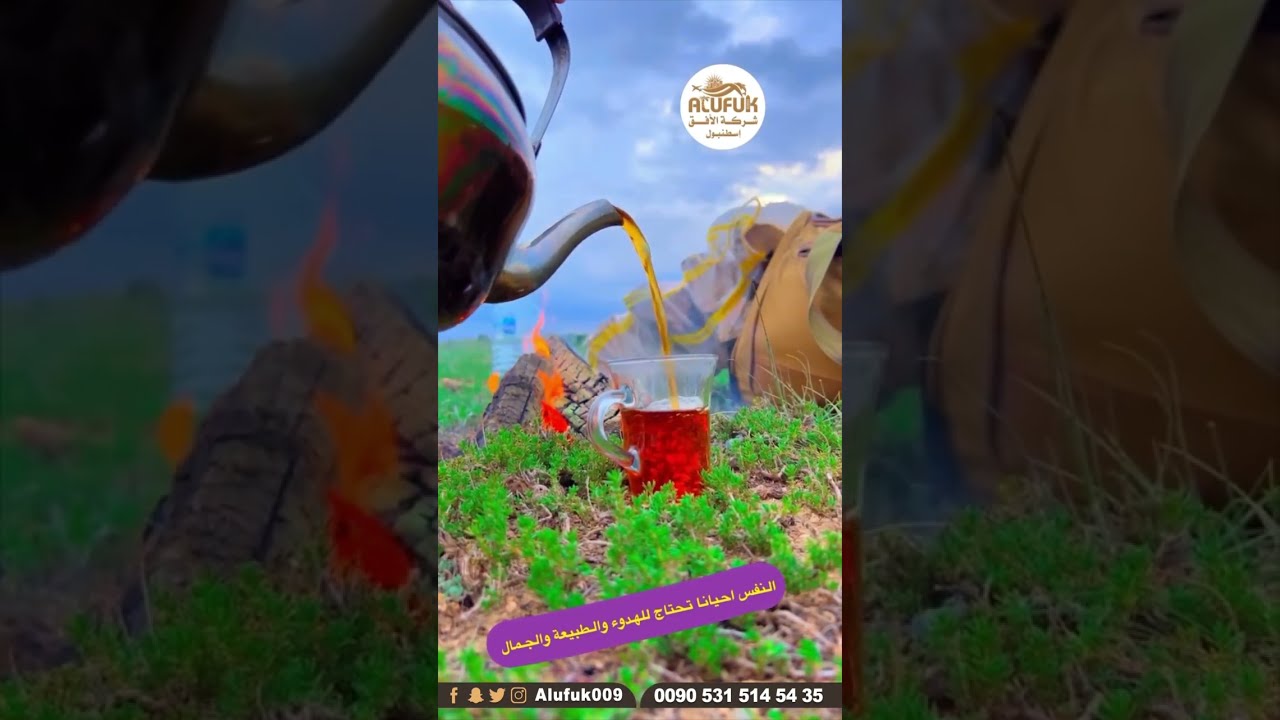 رحلة الأفق بلقط الفقع بتركيا ( الكمأ )