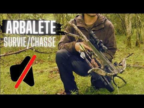 🏹 L'ARBALÈTE - Arme ultime de l'APOkALipSse ou gadget inutile ? (en tout  cas ça pique) 