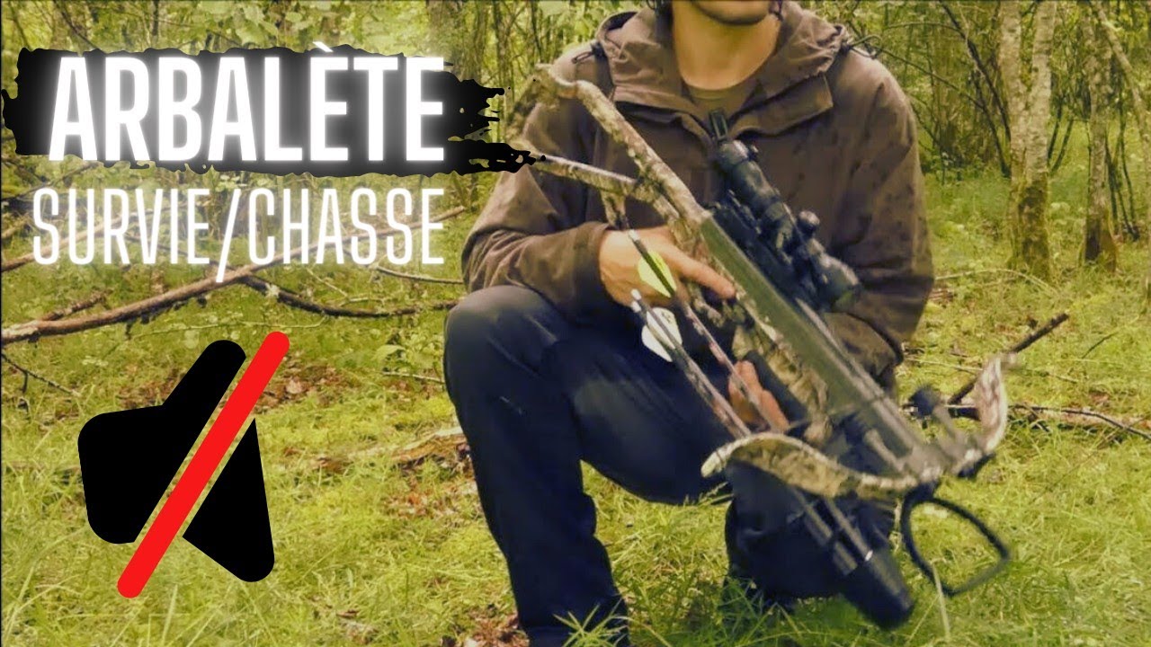 Arbalète de chasse a démontage et assemblage rapide pour tir de précision