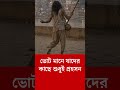 WB Assembly Vote 2026, Bengal Voting: ভোট মানে যাদের কাছে শুধুই প্রহসন