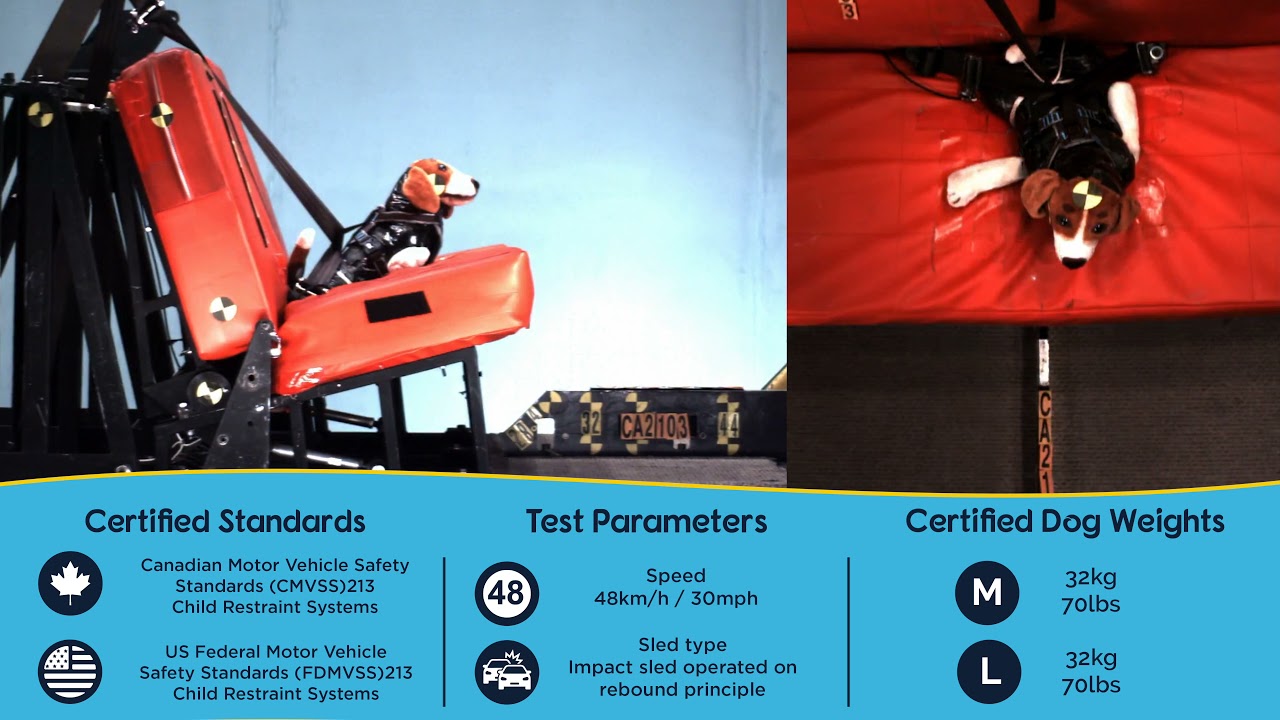 CarSafe