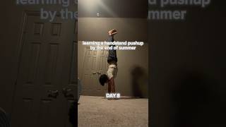 prioritizing form💪 learning a handstand pushup by the end of summer