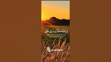 سورة آل عمران القارئ #ياسر_الدوسري‎@islam_sobhi  ‎@Sonic_islamic #فلسطين#السعودية#المغرب#الجزائر#مصر