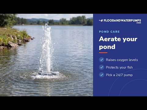 How to Aerate a Pond with a Water Pump