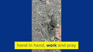 Organic and sustainable farming  methods using Growbetter by Kedihealthcare