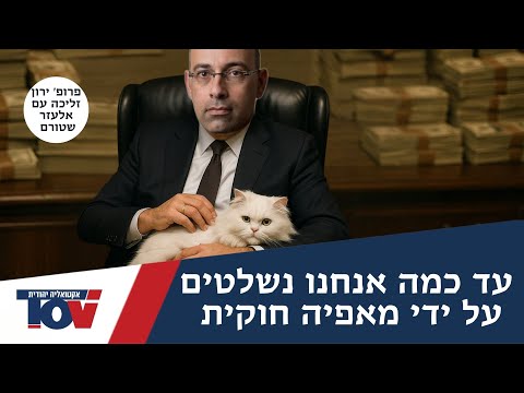 פרופ' ירון זליכה: "יש כאן התנהגות מאפיוזית של הבנקים שחייבים לחקור"