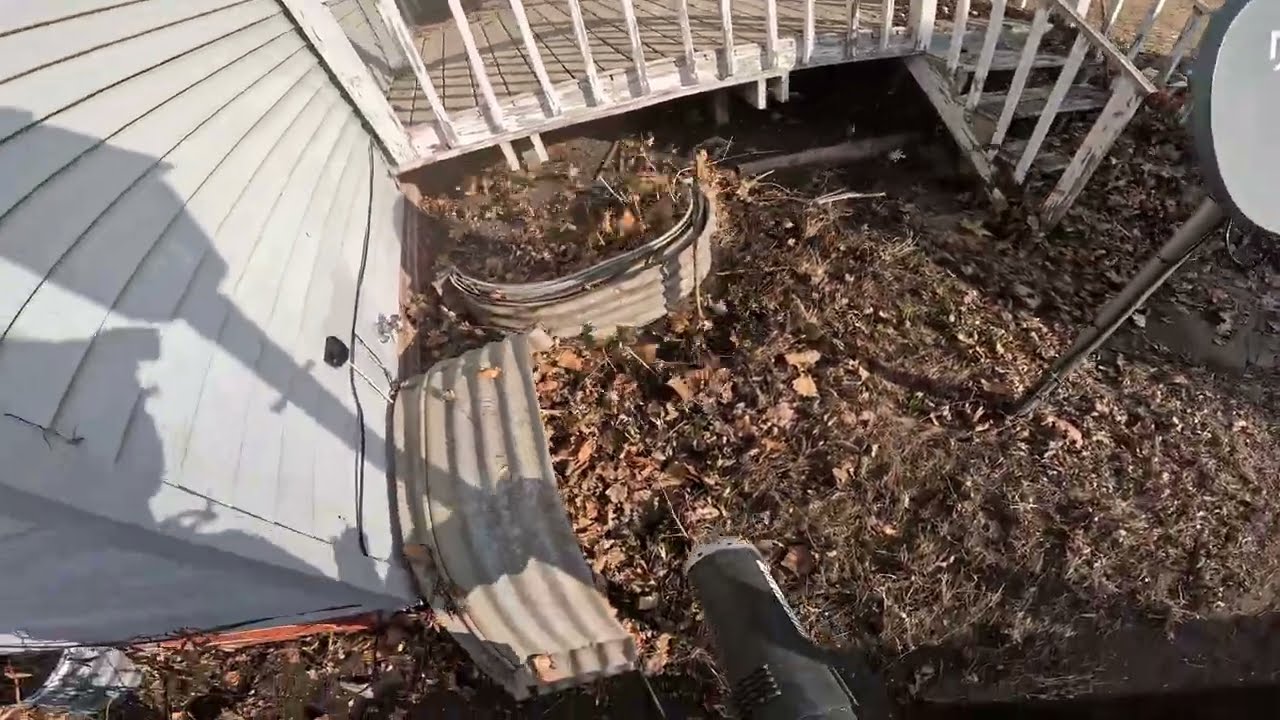 Febuary Leaf Cleanup!