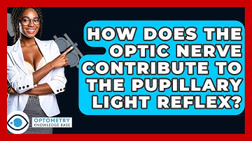 How Does The Optic Nerve Contribute To The Pupillary Light Reflex? - Optometry Knowledge Base