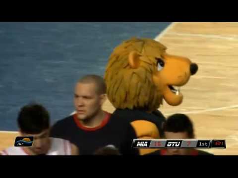 შსს აკადემია სტუ 1 02 03 13