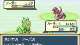 改造ポケモン それは正義感の強い犯罪者のお話part2実況プレイ Youtube 改造ポケモン それは正義感の強い犯罪者のお話part2実況プレイ Youtube