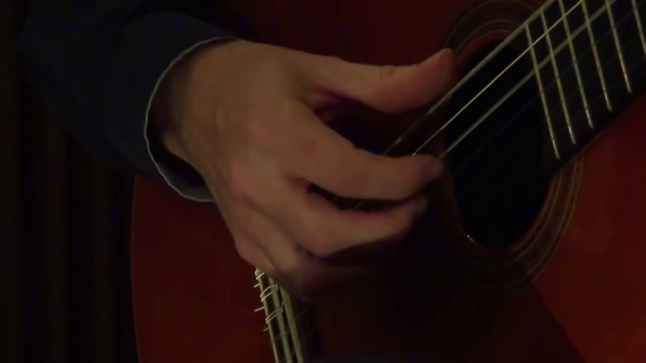 Malena / Tangos y otras cosas/ Ludovic Michel, guitare