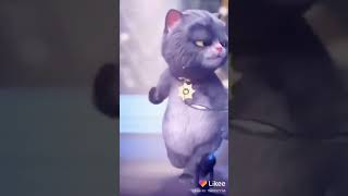 Like wap video Billi ki