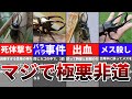 【ゆっくり】最凶の暴君!やばすぎるコーカサスオオカブトの生態とは