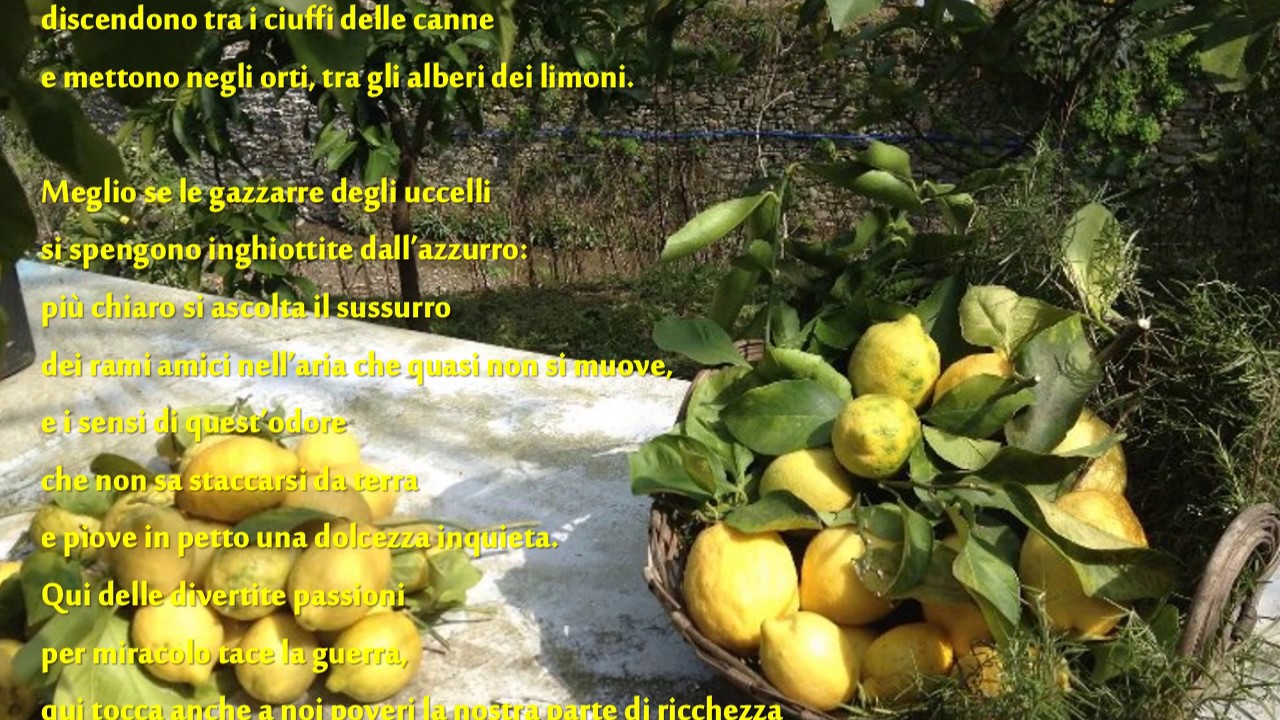 Eugenio Montale I Limoni Youtube