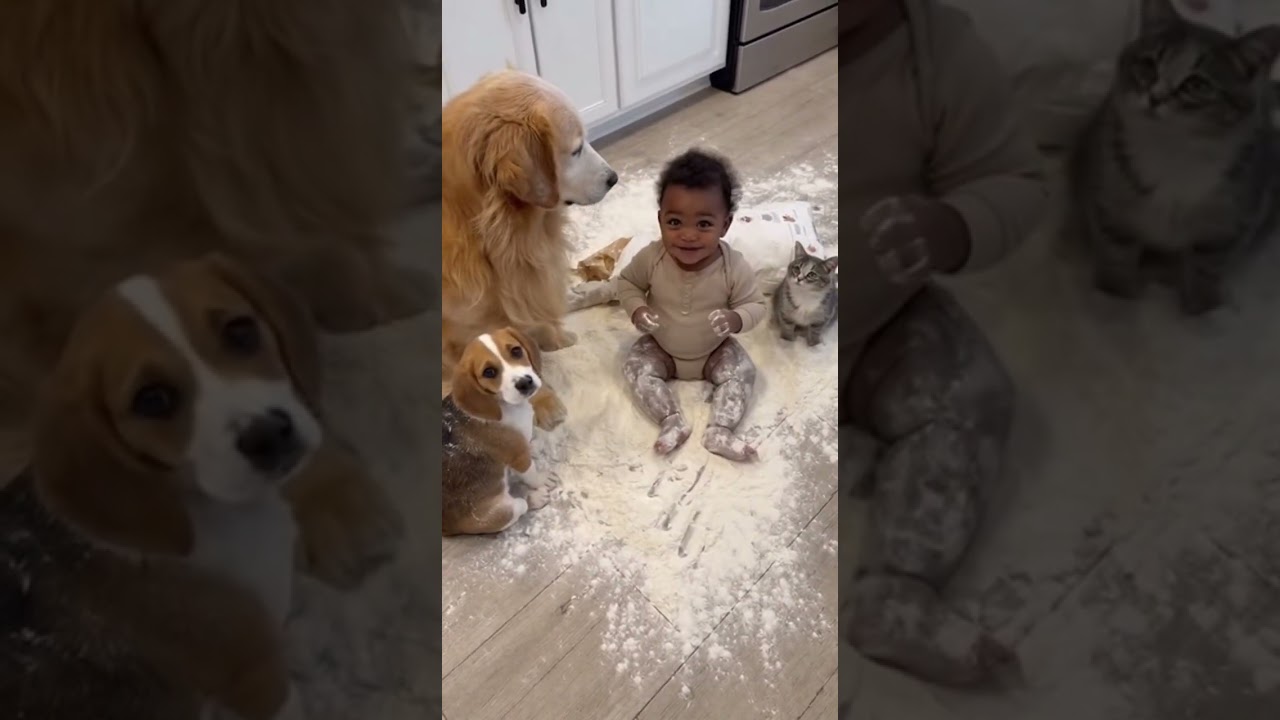 Everyone&rsquo;s Talking About This Video 💥