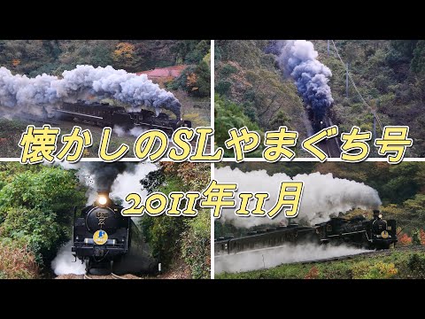 懐かしのSLやまぐち号 2011年11月19日・20日 紅葉の中を走るC571 - YouTube