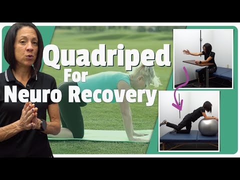 Neuro Rehab: Quadriped Progression from Early to Late Stage Recovery