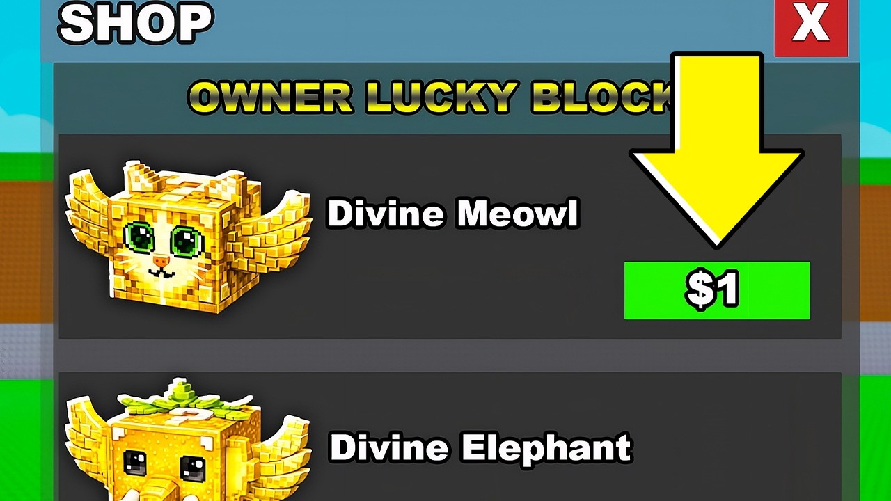 I Got a OWNER Lucky Block Shop..