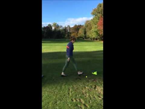 Dan Powers - PGA PGM Lesson 1 (end of lesson swings)