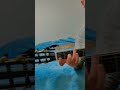 Guitar The Swan Lake -Tchaikovsky#catshorts #guitar #cat#gatos #animals #fyp#cats#clasicalmusic