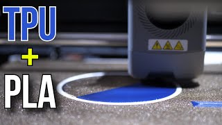 Celebrity Flashforge AD5X TPU & PLA Multimaterial Printing Test! Profile