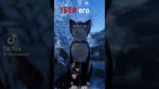 : /    / //(    )