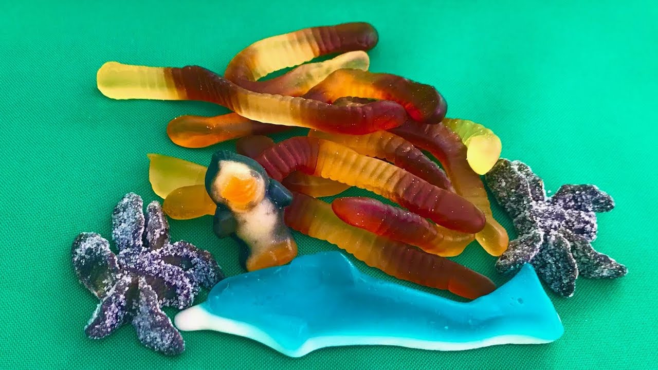 Jelly animals: dolphin, spiders, penguin, worms. More candies! Marmalade show