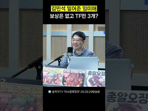 김민석 밀어준 임미애 보상은 없고 TF만 3개?