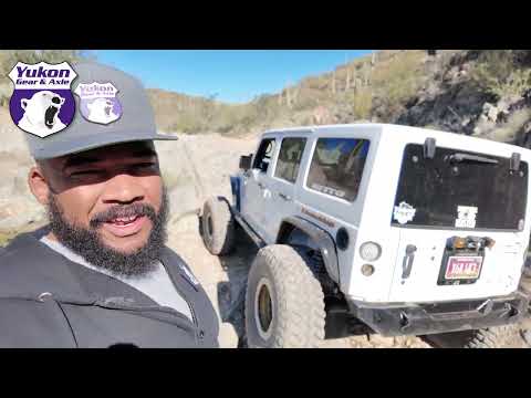 Yukon Running with the Bear | Dominic Knight