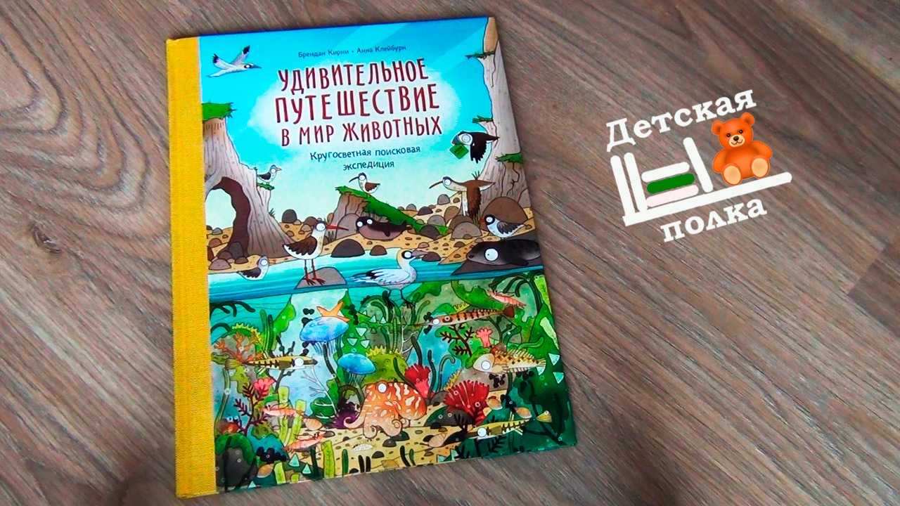 Удивительное путешествие в мир животных. Виммельбух - YouTube