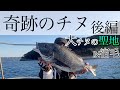 【チヌフカセ釣り】チヌの聖地で巨チヌにであう。