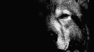 Soxucu Sözler Peçat Sözler Instaqram Videolari , Whatcapp Statuslari