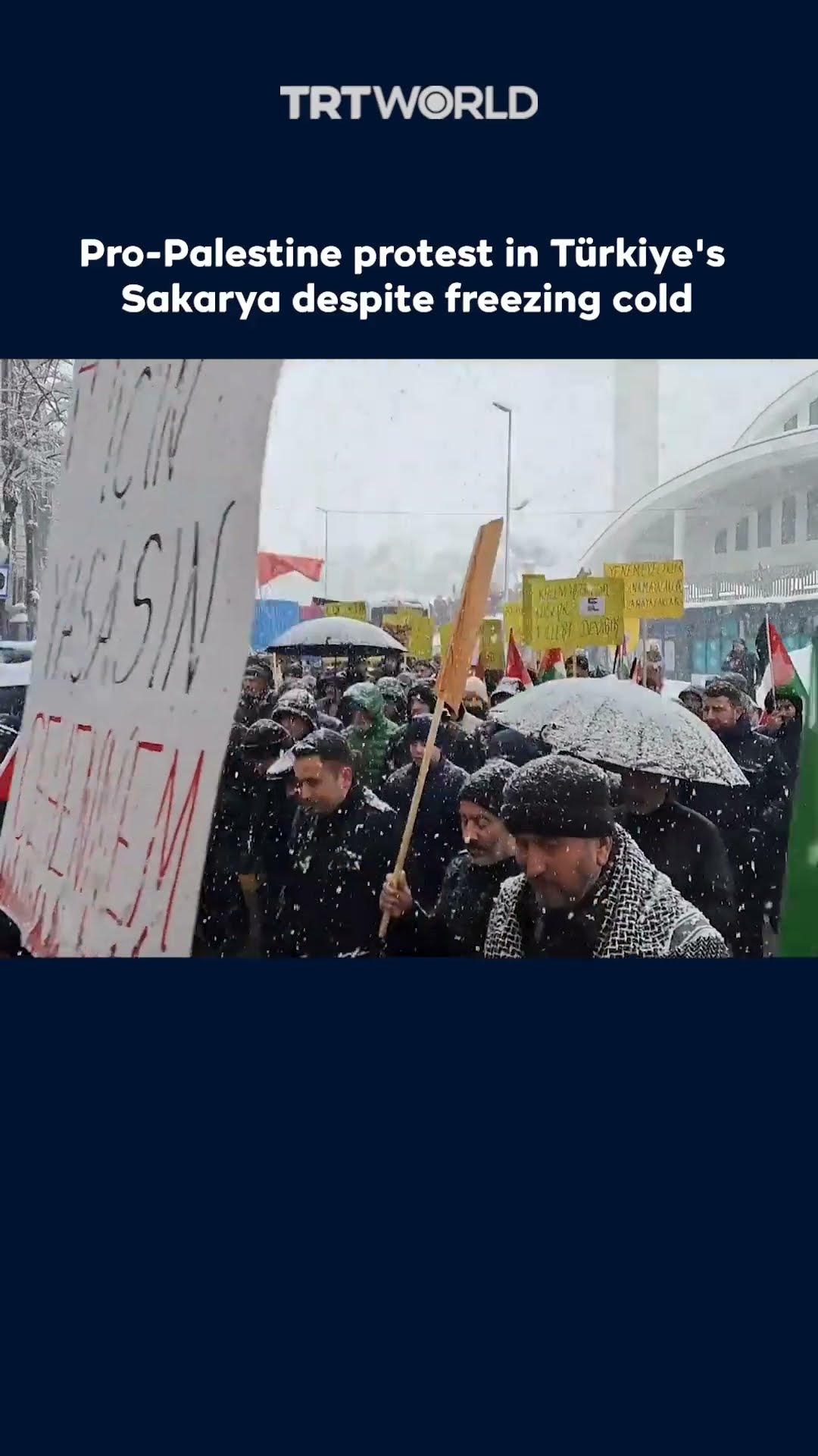 Pro-Palestine protest in Türkiye's Sakarya despite freezing cold