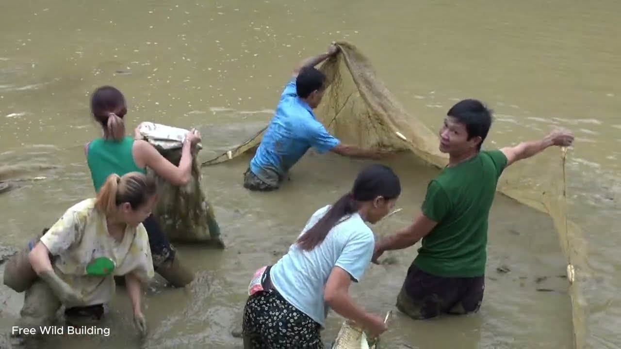 Stock fish ponds to sell to traders Collect many large fish, Sell fish YouTube