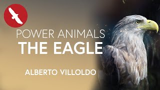 Power Animals - EAGLE - Alberto Villoldo