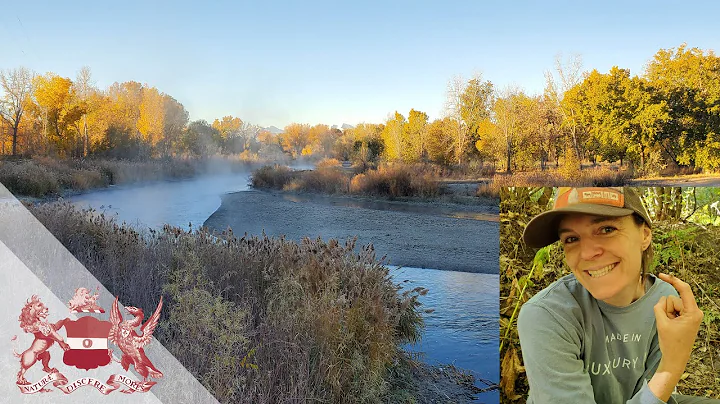 Understanding our Urban Streams Through History, Geography, and Ecology | Rebecca Hale - DayDayNews