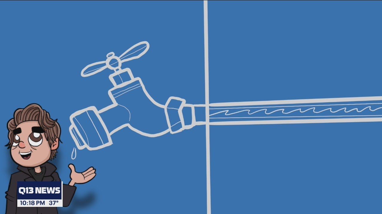 How to avoid costly damage to your home during freezing weather