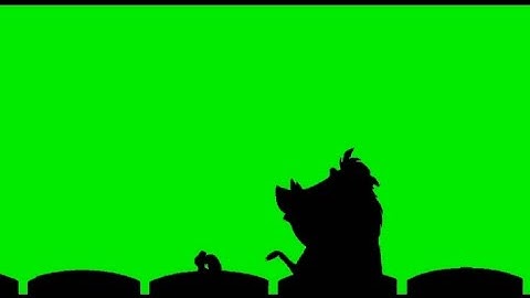 Timon and Pumbaa Interrupt 6 Green Screen
