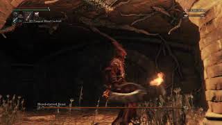 Blood-starved Beast (Pungent Blood  Cocktail method) - Cursed Lower Loran [first layer boss]