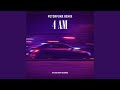 4AM PET3RPUNX REMIX